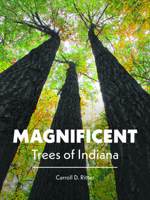cover image of Magnificent Trees of Indiana
